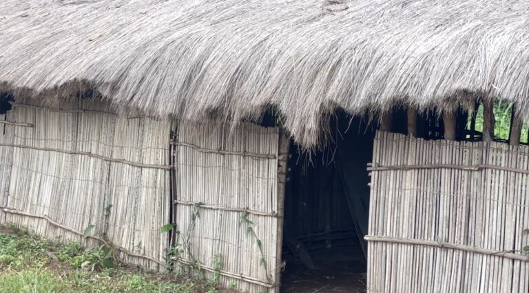 Kwango – Village Ipongi : pas de gratuité d&rsquo;enseignement,  pas d&rsquo;université; une éducation aux abois