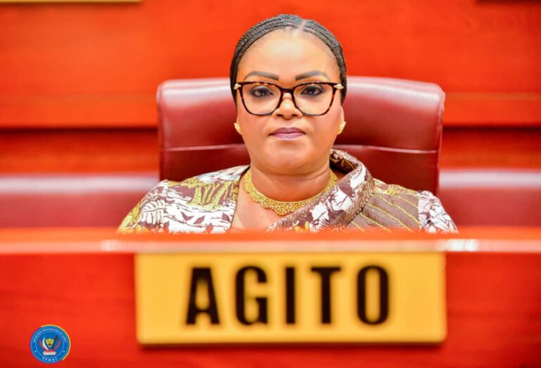 Sénat : Carole Agito, le profil qui fait consensus pour la deuxième vice-présidence