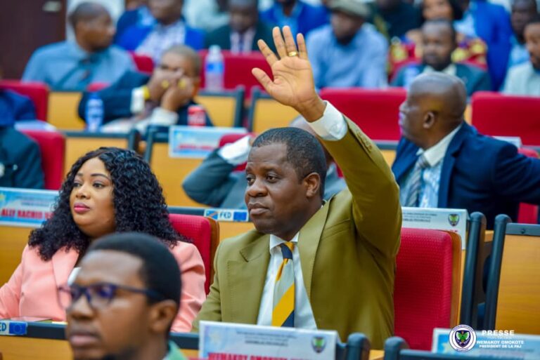 Nicolas Wemakoy, un parlementaire qui bouge les lignes à l’Assemblée provinciale de Kinshasa